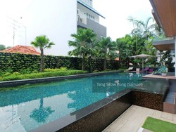 7 on Chapel (D15), Apartment #189635182